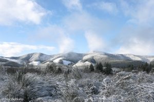 Clearcut-hills-Snow-Holmes
