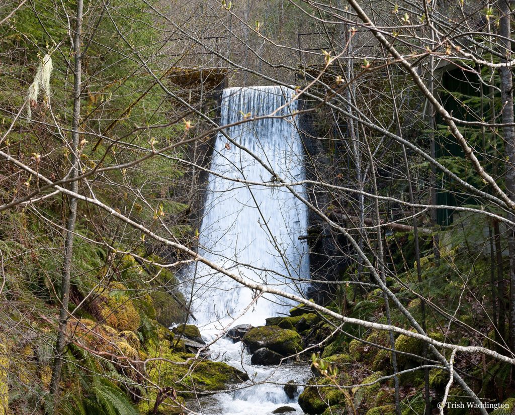 Watershed-Dam-Holmes